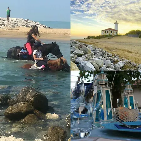 Papeete Prince * Bibione