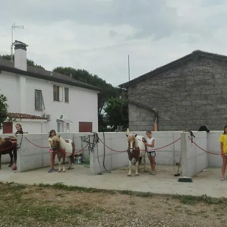 Papeete Prince Bibione